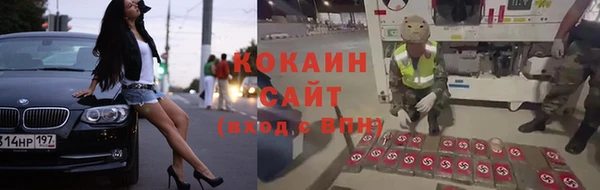 шишки Балабаново