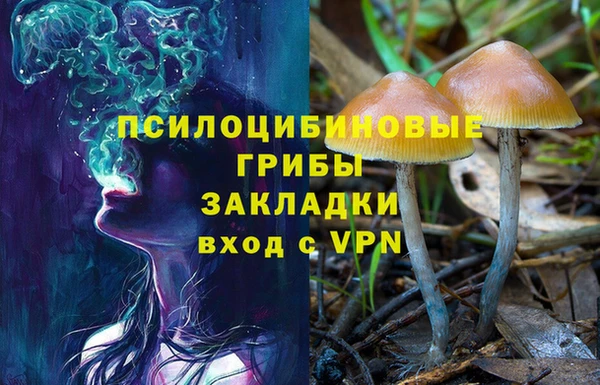 не бодяженный Армянск